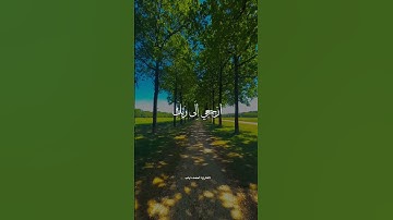 راحة و طمأنينة القارئ : أحمد دياب #قرآن #أحمد_دياب