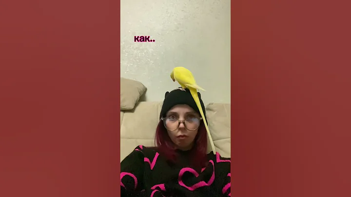 фото попугая фото попугая