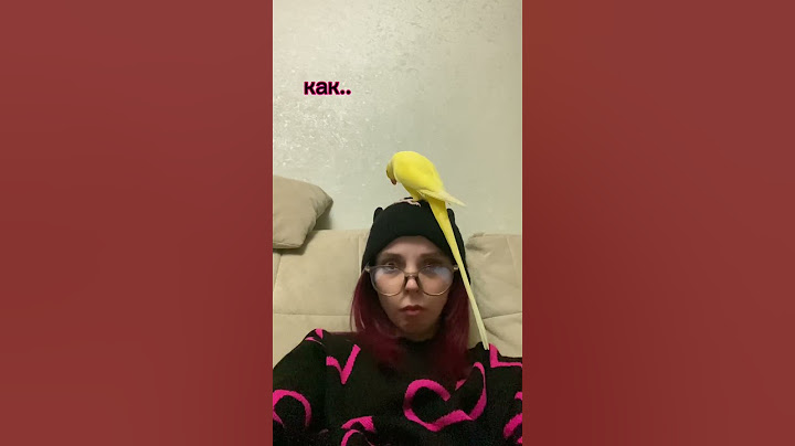ГОВОРЯЩИЙ ПОПУГАЙ 😳 ОБИДЕЛ МЕНЯ..