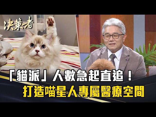 《決策者》陳道杰｜「貓派」人數急起直追！打造喵星人專屬醫療空間