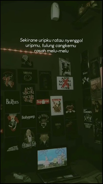 Story wa terbaru 2021 || rasah Melu melu