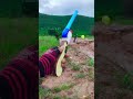 Creative Amazing DIY Making Easy alcohol gun Unique
