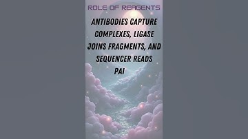 ChiA-PET Chromatin Interaction Analysis by Paired-End Tag Sequencing