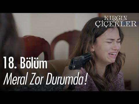 Meral zor durumda! - Kırgın Çiçekler 18. Bölüm