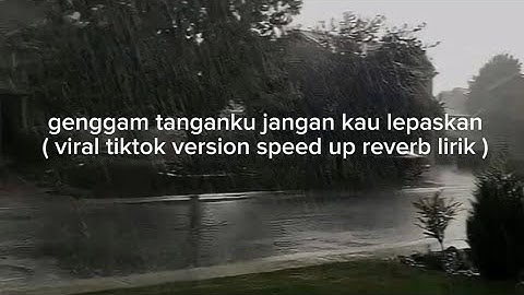 genggam tanganku jangan kau lepaskan ( viral tiktok version speed up reverb lirik