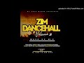 MU GARDEN MIX TAPE. ZIM DANCEHALL MASH UP VOL 20. by DJ TATZ BLESS