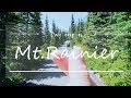 Day trip to Mt Rainier 瑞尼尔一日游 | corajcc