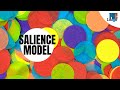 Salience Model