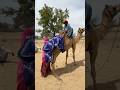 رجل يمتطي جملا في الصحراء ويسحب زوجته خلفه من ساقيها