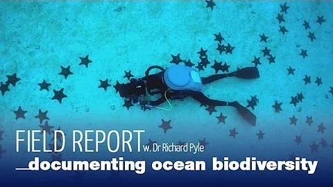 Field Report: Dr. Richard Pyle on the Importance o...
