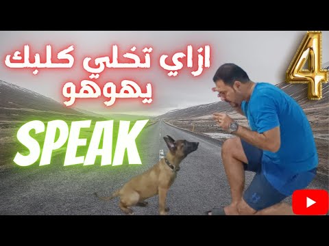 فيديو: هل يعمل تدريب النقر على النباح؟