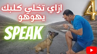 ازاي تعلم جرو صغير النباح speak / تدريب الكلب علي النباح بالامر مع كابتن شريف شحاته