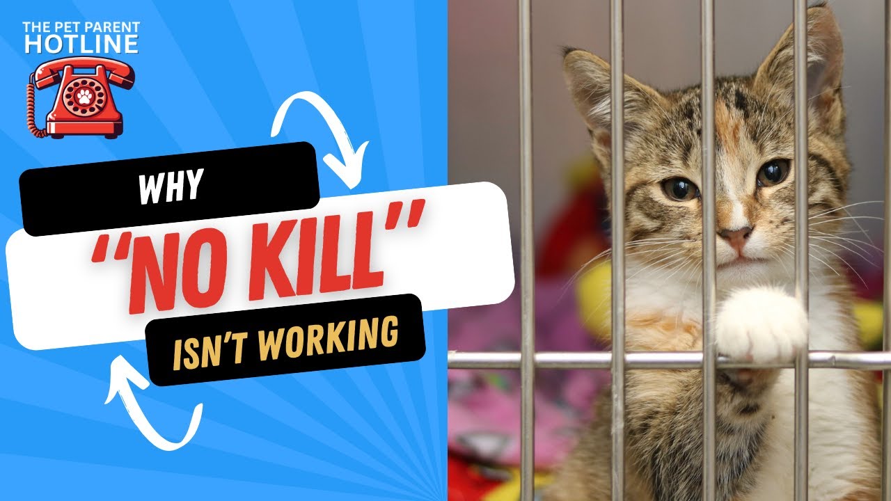 Why the “No Kill” Movement Hurts More Than It Helps Why the “No Kill” Movement Hurts More Than It Helps