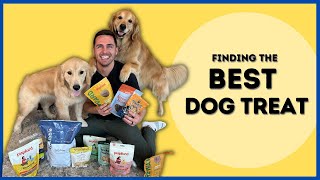 Finding the best dog treat!