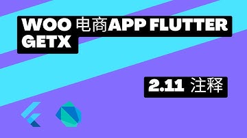 2022 Flutter Course - Full Tutorial For Beginners Getx Woocommerce App 从零开始实战课程 | 2.11 Dart 注释 | 猫哥