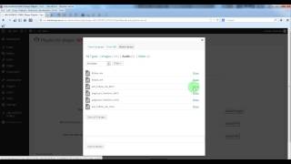 Celebrity Responsive HTML5 Audio Player PRO - Manage the playlist and categories Wealth