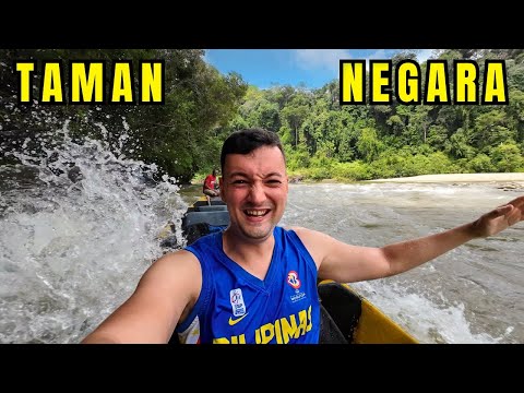 I Spent 48 Hours In Malaysia’s Jungle 🇲🇾