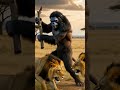 Big giant Tigers is attack on Gorilla #oração #deus #jesus #oracao #shorts #youtubeshorts#viralvideo