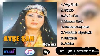 Aynur Gürkan - Vay Limin - (Official Audıo) Resimi