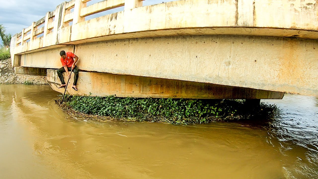 Hard Work To Remove Floating Plant Clogged On Bridge - YouTube