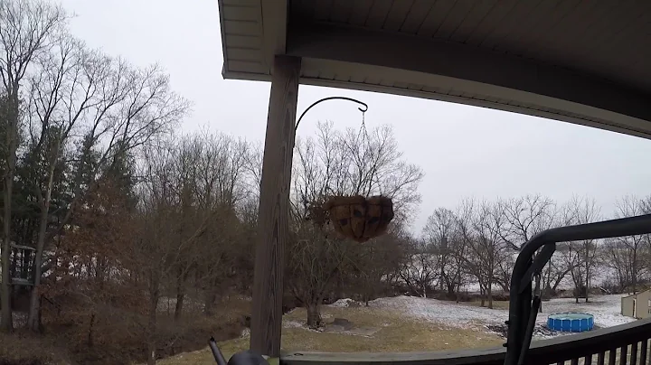 I killed squirrel watch till the end