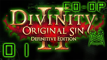 A Human, Dwarf, Elf, and Lizard Skeleton Walk onto a Ship - Divinity: Original Sin 2 DefEd Co-Op #1