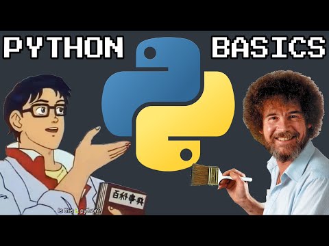 Python for Beginners: The Basics in Less Than 3 Minutes (2026)