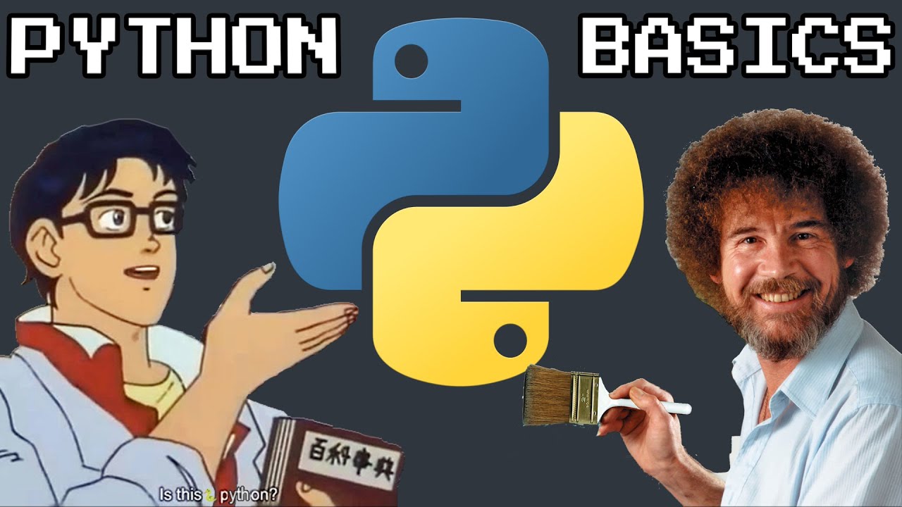 Python for Beginners: The Basics in Less Than 3 Minutes (2026)