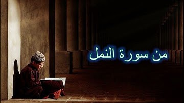 من سورة النمل #سورة_النمل #قران_كريم #قران #quran #القارئ_محمد_عمار_أصيل