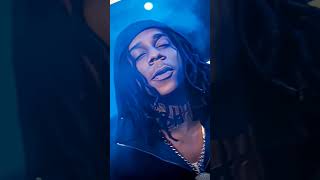 bloodhound lil jeff edit