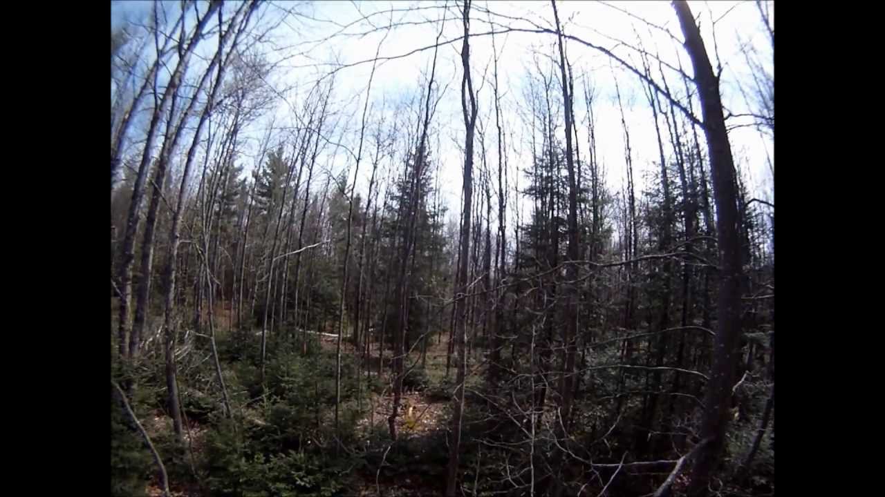 Airsoft War in the Deep Woods