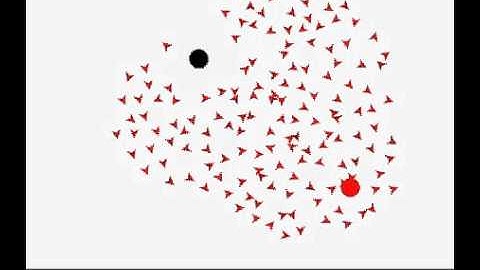 Boids (Swarm). Schwarm Simulation.