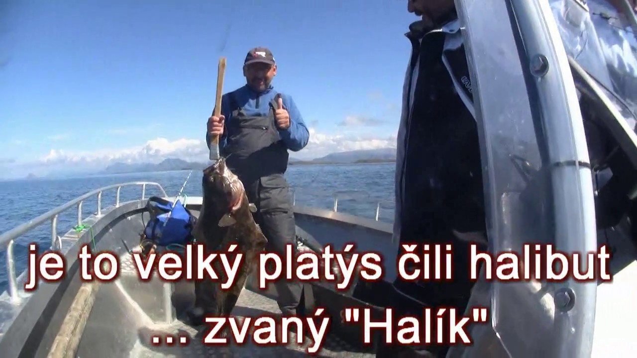 NORWAY 2016 VENNESUND FISHING PART I HALLI SOURCE 3000 DIVX