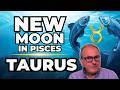 New Moon - Taurus 4 Week Forecast!