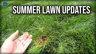 Summer Lawn and Plot Updates