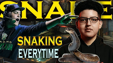 Cellium Snaking Caught In 4K