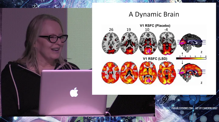 Valis - Psychedelics, Technology, and Creativity
