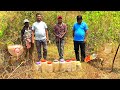 सांप कैसे पानी पीते हैं 7 जहरीले कोबरा और 1 खतरनाक रसल वाइपर Snake Releasing