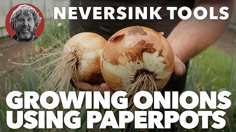 Growing Onions Using Paperpots