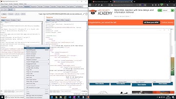 Blind SQL injection with time delays and information retrieval (Video solution)