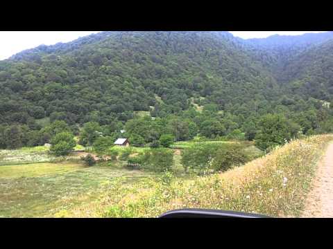 ბორჯომ ხარაგაულის ტყე პარკი, სამეცხვარეო, რკინის ჯვარი, ქვაზვინევი,სახულარი, ლეღვანი, ქვიანთი.