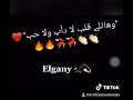 وهاتلي قلب لا داب ولا حب