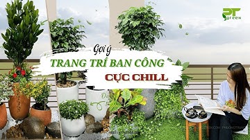 Ý tưởng trang trí ban công chung cư nhỏ bằng cây xanh cực chill | Phương Trung Green