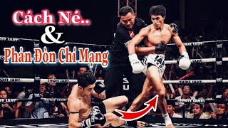 Cách Né Và Phản Đòn Chí Mạng Trong Muay Thai | NGUYỄN TRẦN DUY NHẤT