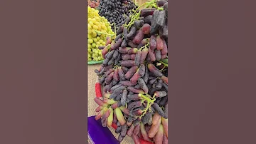 في مهرجان العنب ٣٧ نوعا من العنب تم إنتاجها في إحدى المزارع في اربيل عنكاوة 