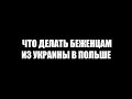 Статус беженца для украинцев 💙 💛 в Польше: самая полная информация на 02 марта 📍