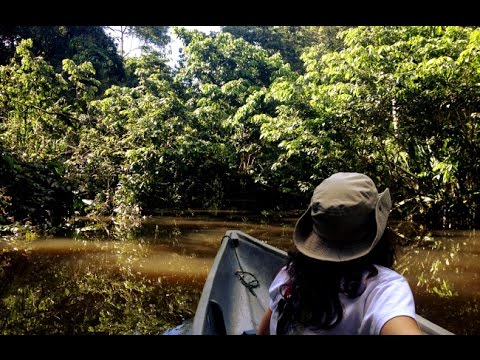 What's it like hiking in the Amazon jungle?