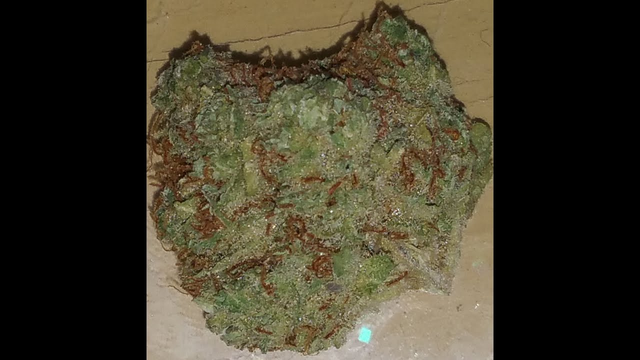 Pineapple Skunk by Alternative Solutions Review