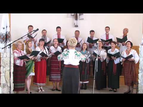 Гей видно село