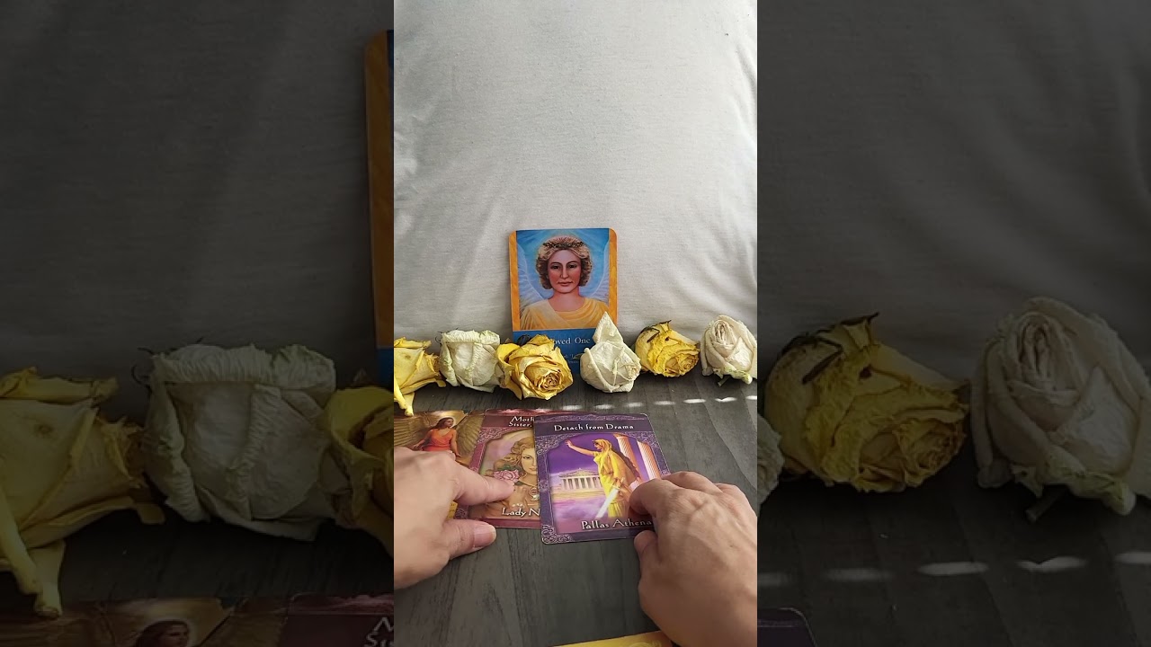 AUGUST COLLLECTIVE  READING @ DETACH FROM DRAMA #########